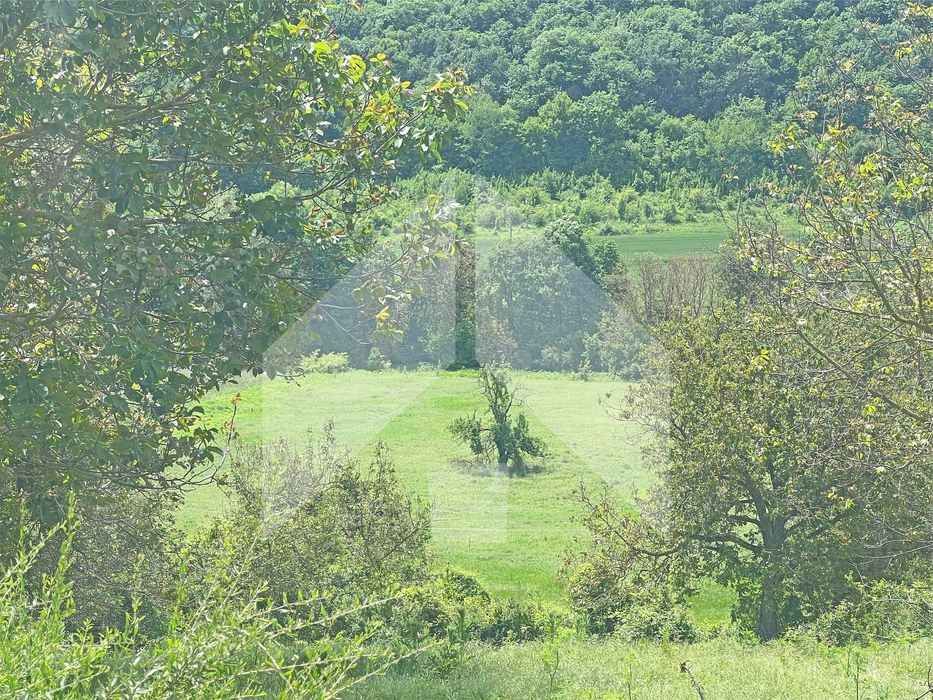 Продава се Парцел в с. Лиси връх, Област Шумен - 4420 кв.м за 3 €/кв.м - Снимка #12