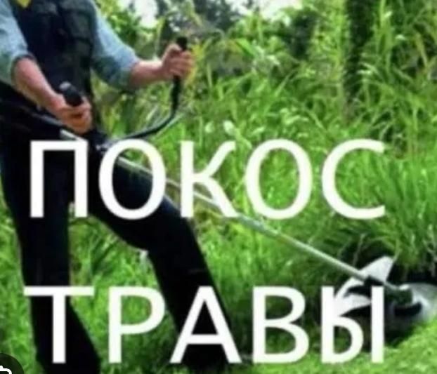 Покос травы . Промышленный альпинизм.