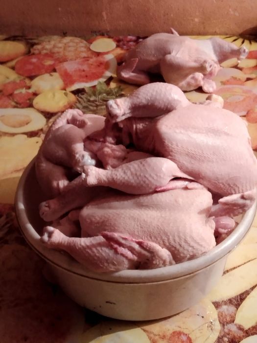 Мясо Домашнего бролера