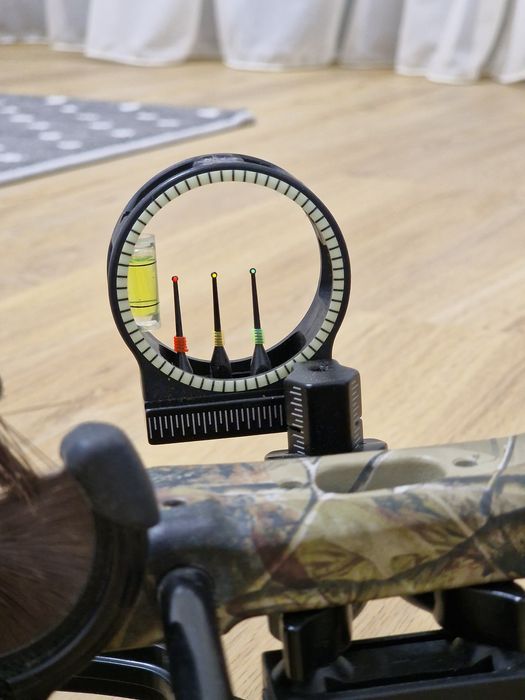 Arc Compound Bear Encounter