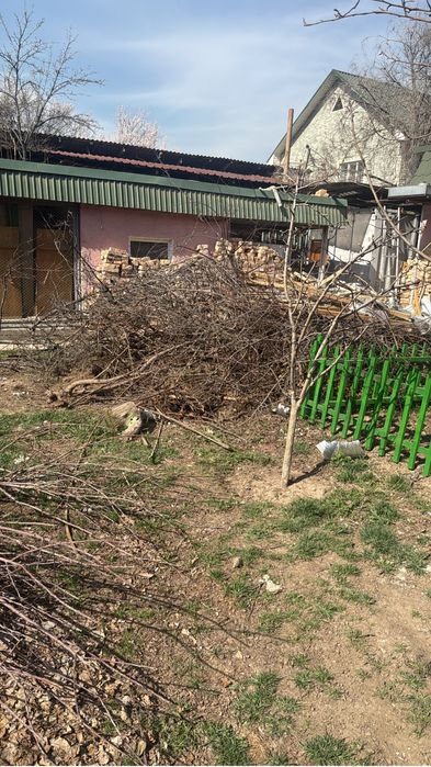 Отдам даром дрова самовывовоз