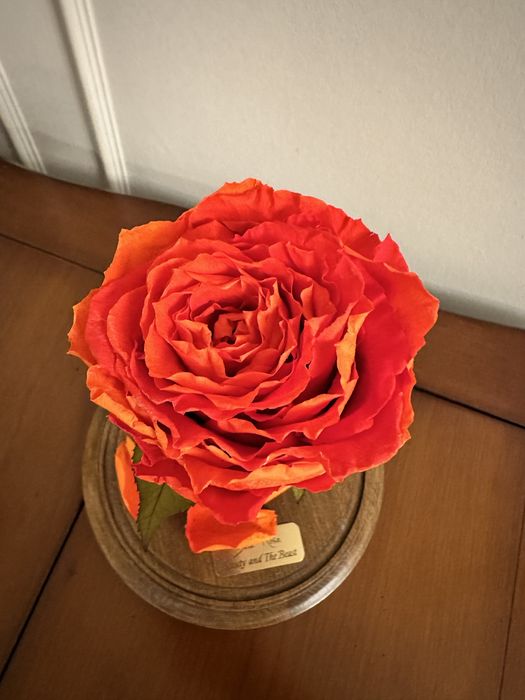 Декортивный цветок