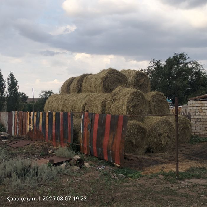 Рулон первакос сатылады кг 300