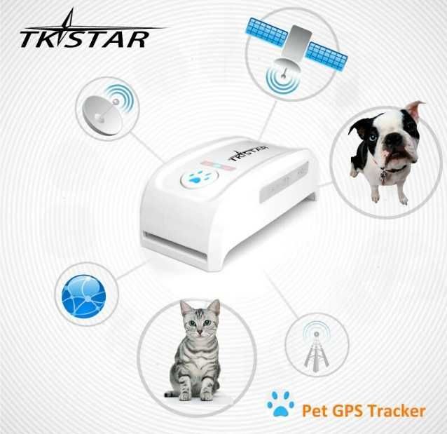 GPS трекер для собак / кошек / домашних животных