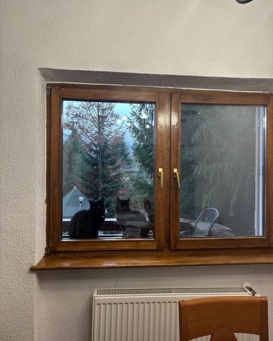 Donez pisoi pentru curte