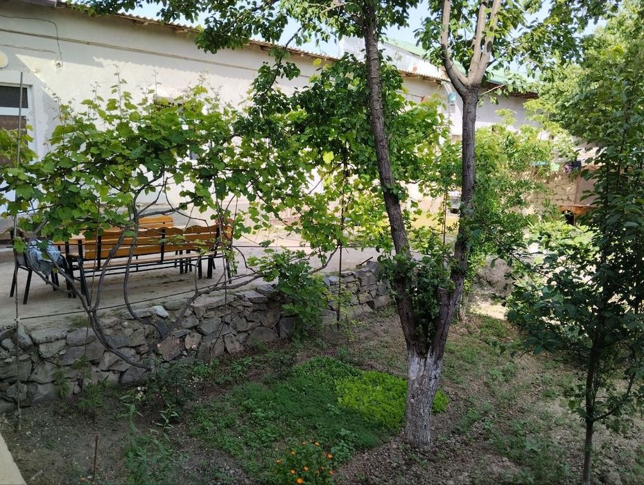 Ҳовли уй сотилади