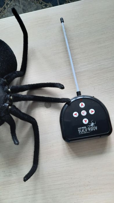 Новый.  Паук   на   пульте.