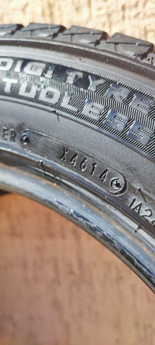 Шины зимние Dunlop 17