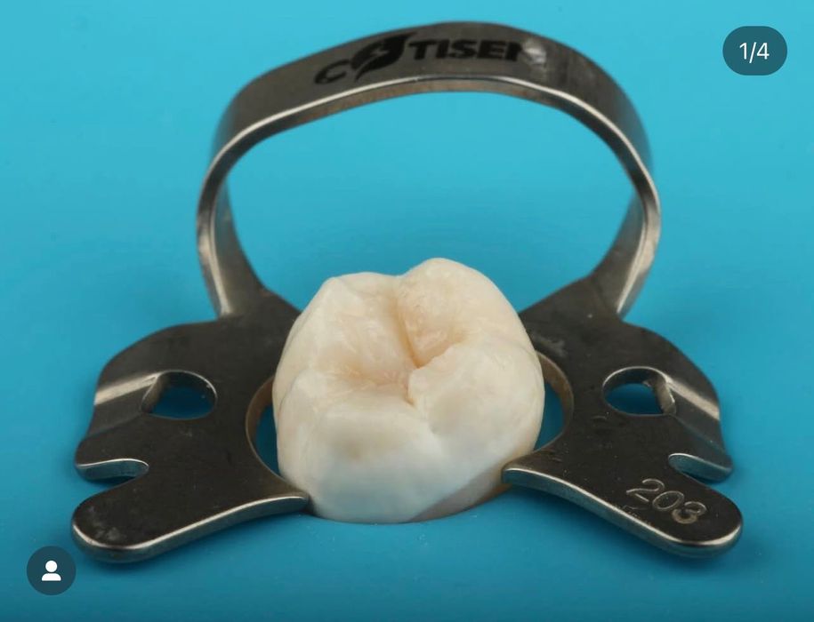 Canon 650D Sigma 105mm SoftBox Godox 400sk