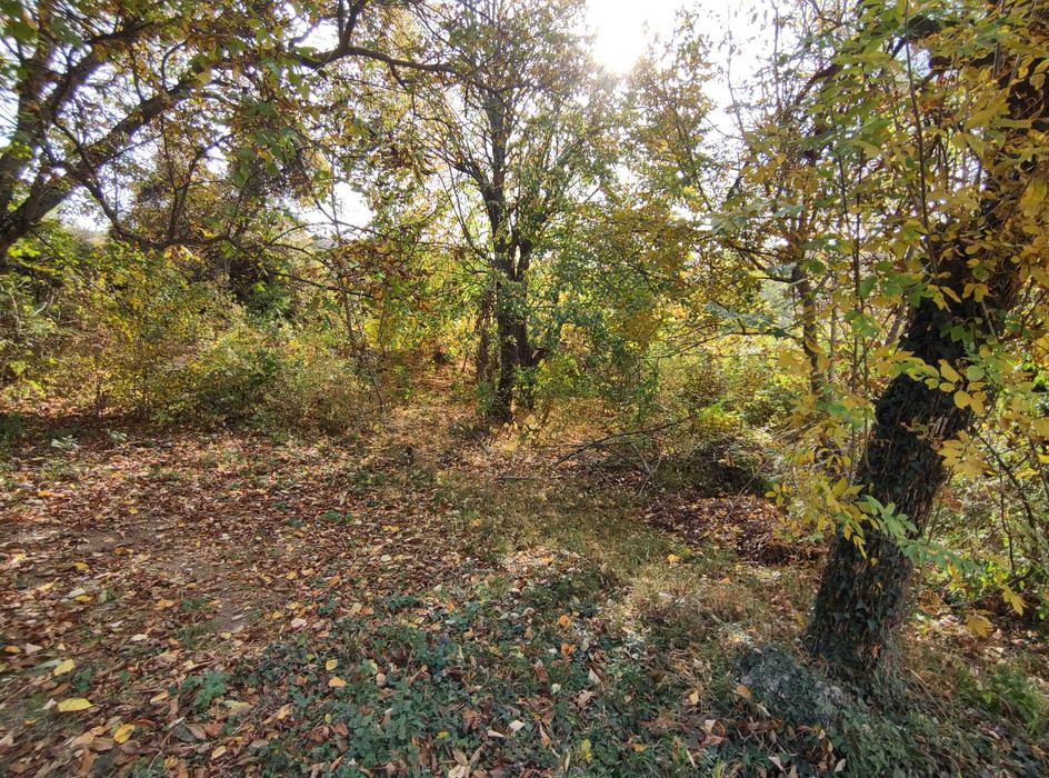 Продава се Къща в с. Малък извор, Област Ловеч - 104 кв.м за 354 €/кв.м - Снимка #10