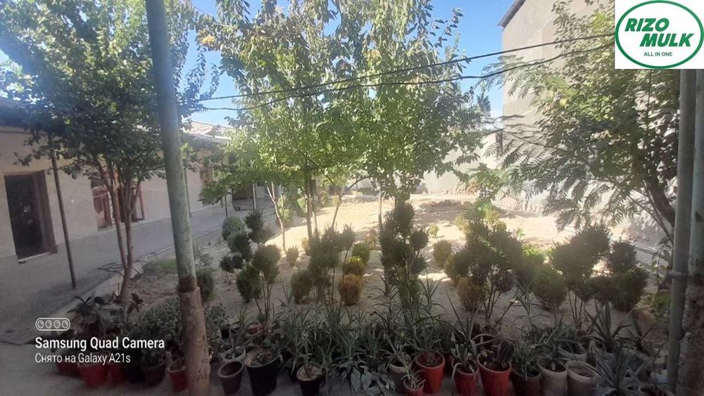 Назарбек Харакатда ховли сотилади. NR494/111