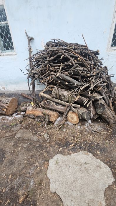 Продам дрова ( яблоня)