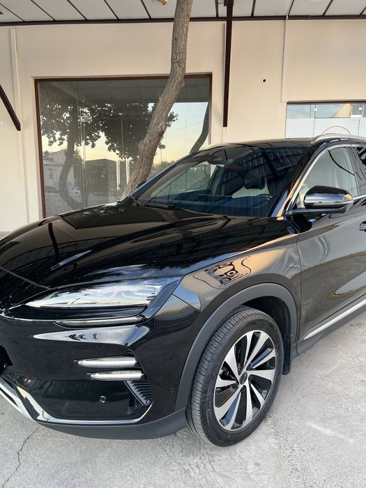 BYD chempion 605