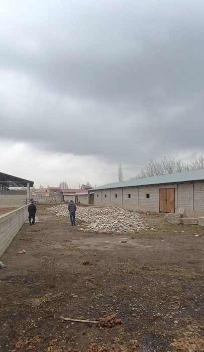 Земля 1,88 гектара срочно продается