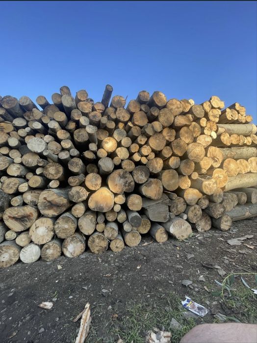 Vand lemne de foc ster sau bolturi