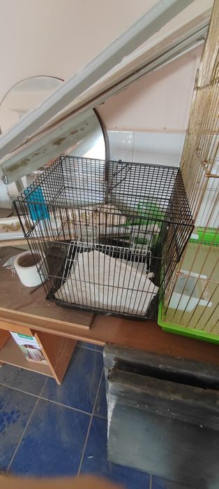 Клетка для попугайя