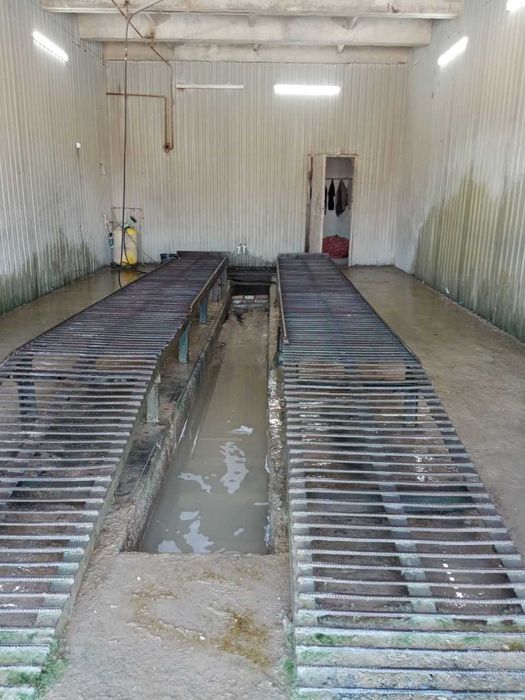 Срочна Тайар бизнес Мойка