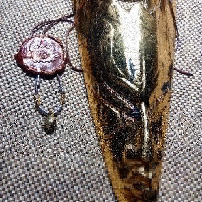 Шикарные Подарки Панно Маски