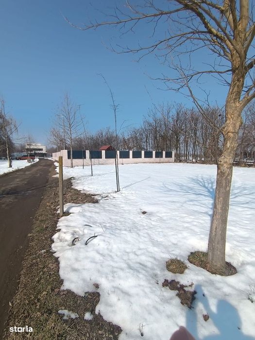 Teren de vanzare,proiect de casa,Cartierul Olandez, Joița, Giurgiu