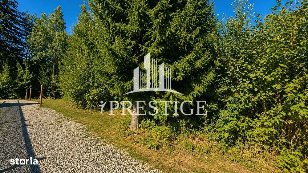 Teren Intravilan De Vânzare | Valea Avrigului | 744 Mp
