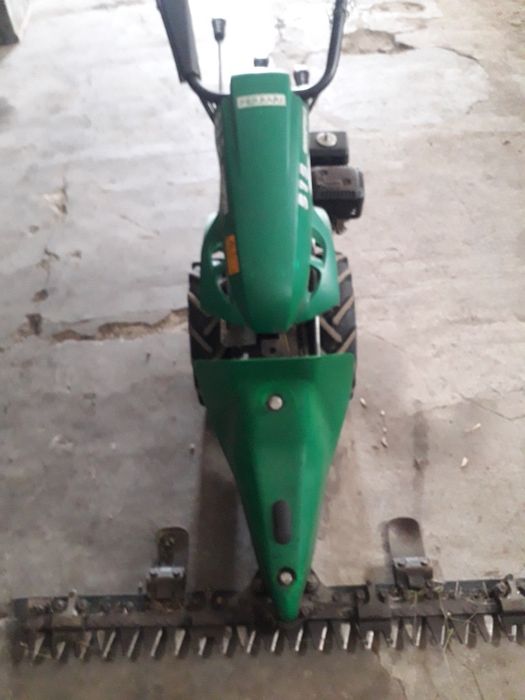 Cosesc gradini in Alba iulia si in apropiere