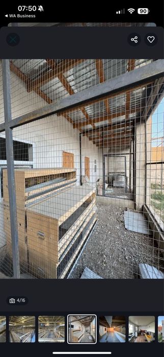 Клетки для перепелов