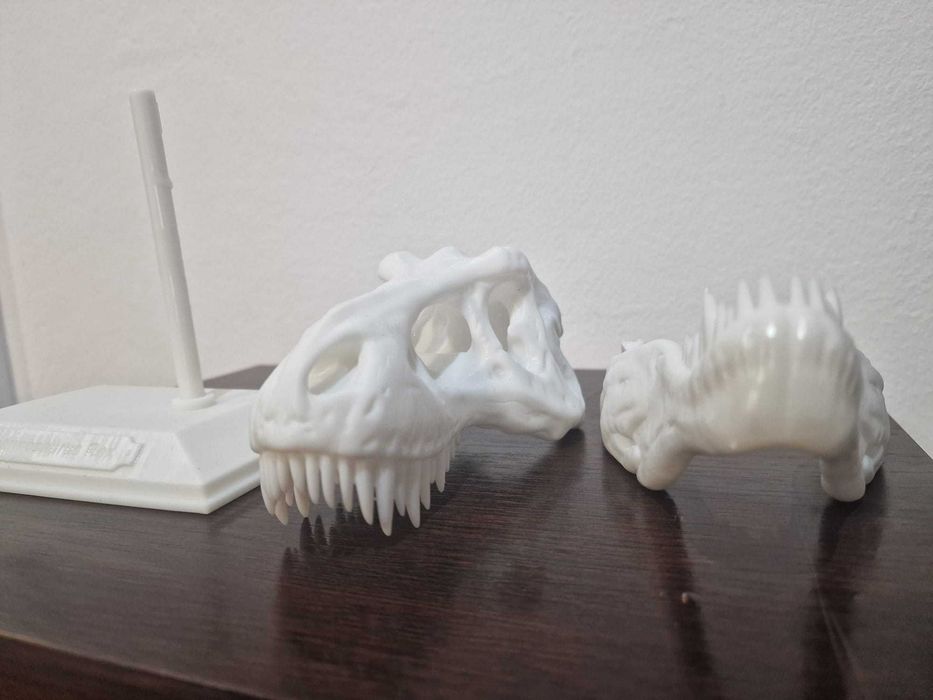 craniu dinozaur TREX