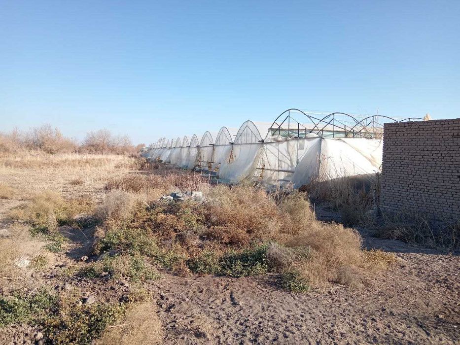 "Issiqxona bino-inshoatlari"