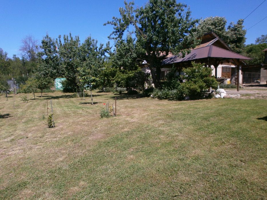 Vand casa cu teren 3000 m2 Bascenii de Sus