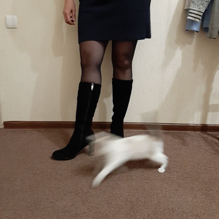 Продам зимние сапоги