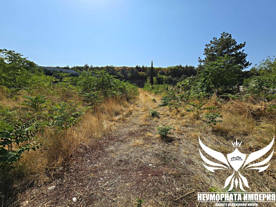 Продава се Парцел в Асеновград - 2052 кв.м за 49 €/кв.м - Снимка #6