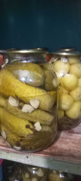 Вкусные засолки!