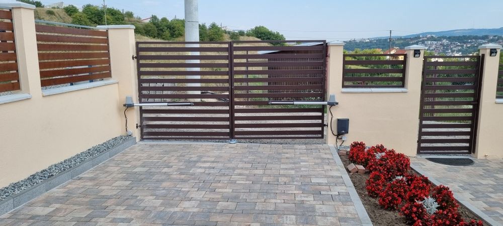 Automatizare batanta Tmt Terrier