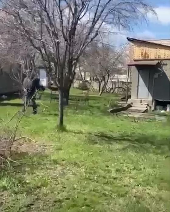 Продаю дачный участок