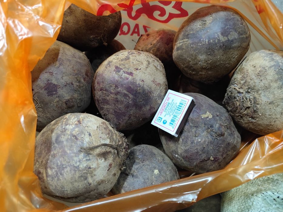 Продается свекла столовая