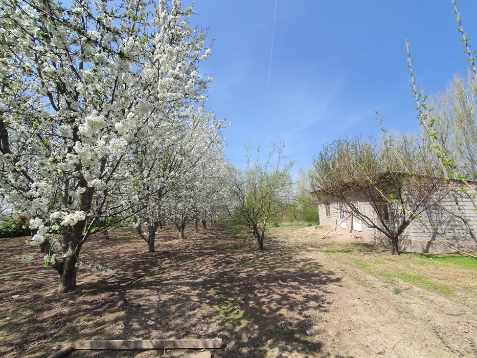 Yer sotiladi 18 sotix. Sotixi 7000$ dan sotiladi