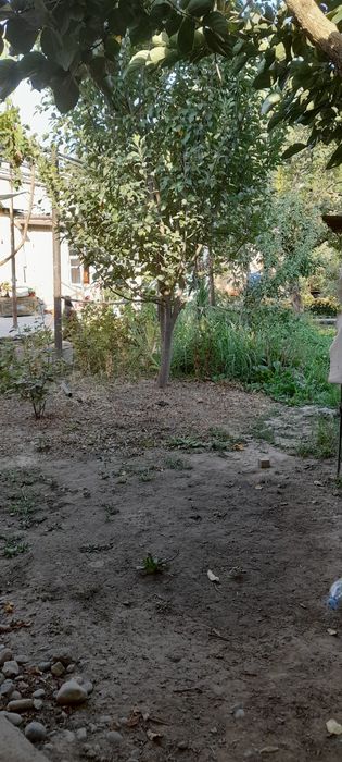 Ховли санатория бустон