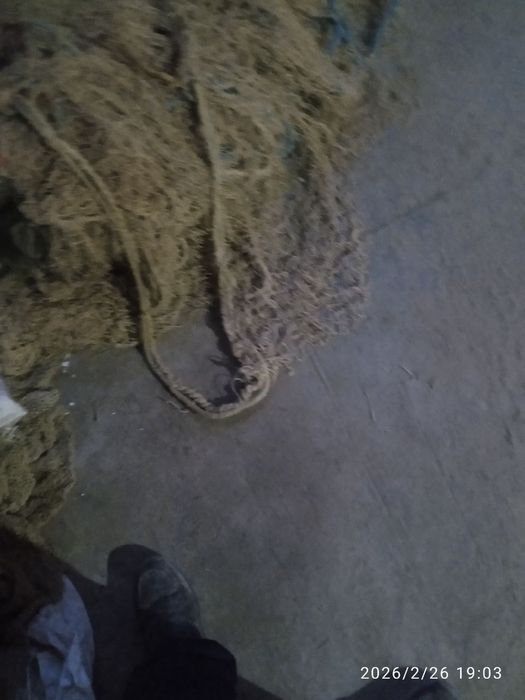 Holati yaxshi  kelishiladi yilim