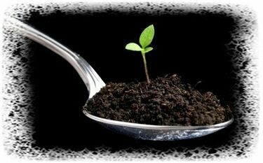 Биогумус ва чувалчанг