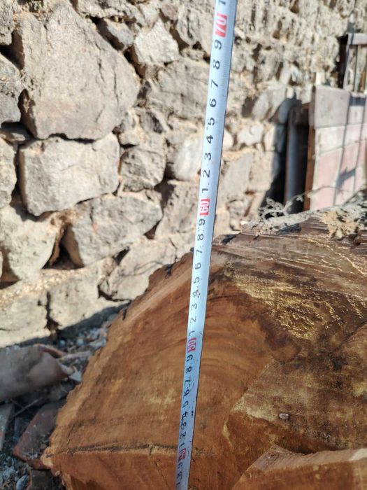 Ствол на черница