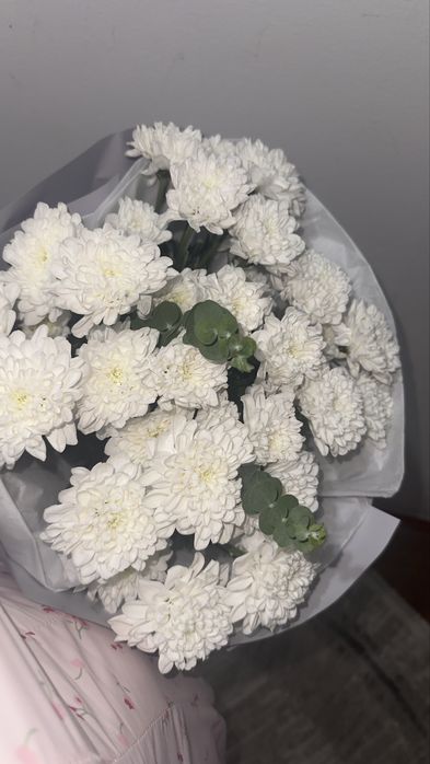 Хризантема свежая