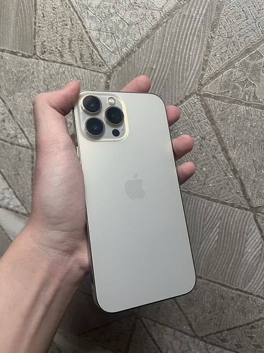 iphone 13 pro max 256gb