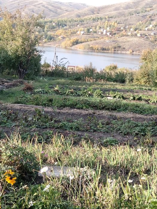 Продам участок на берегу Иртыша