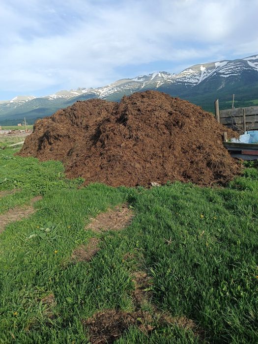 Продам навоз качественный