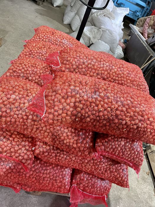 Арпаджик. Лясковски