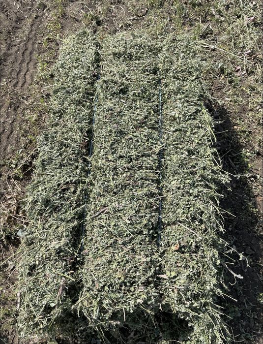 Baloti lucerna, fan, paie