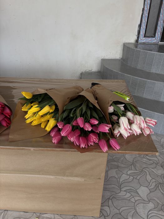 Тюльпаны на 8 марта