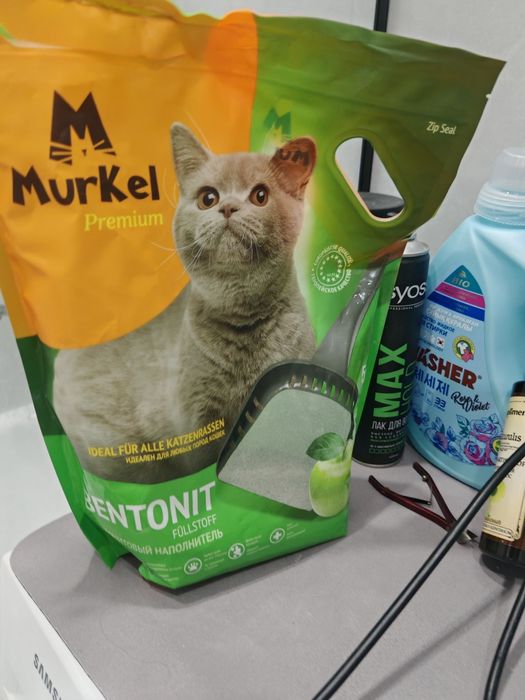 Кошачьи принадлежности