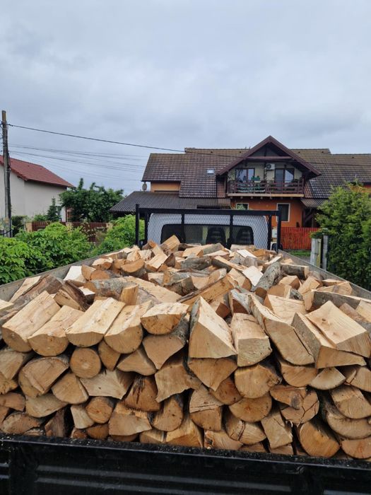 Lemne de foc de fag .