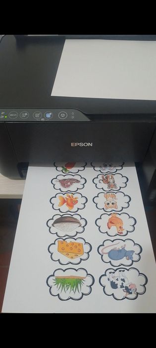 Printer epson 3250 yangi holatda ,hich qanaqa aybi yo'q